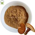 Échantillon gratuit Ganoderma Lucidum Spore Extract Powder